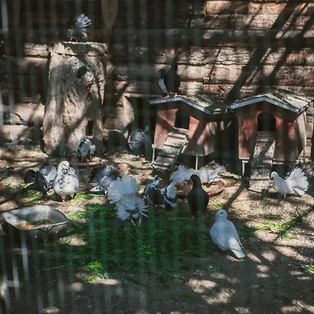 Hotel Eurohotel Swarzedz