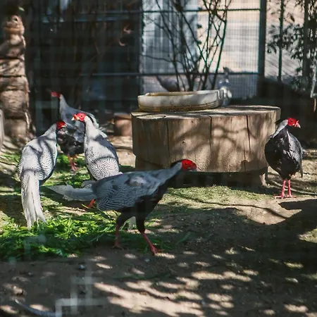 Eurohotel سفارجاونج