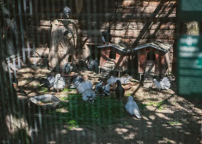 Hotel Eurohotel Swarzedz